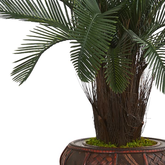 4ft. Cycas Tree in Decorative Stand